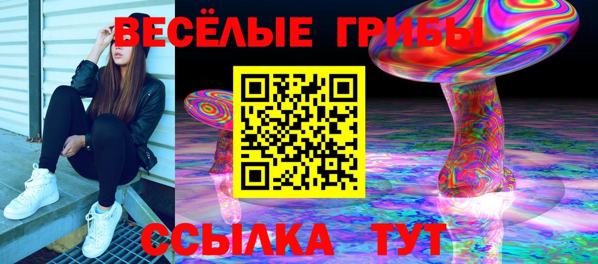 Новодвинск  Псилоцибиновые грибы мухоморы  Галлюциногенные грибы мицелий  Вход с VPN 