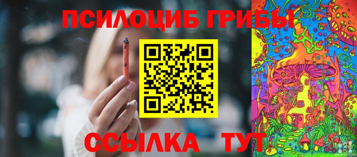 Псилоцибиновые грибы мицелий Новодвинск
